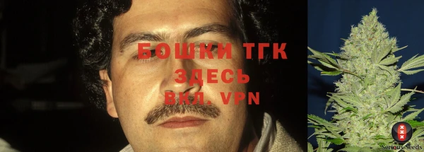круглые Аркадак
