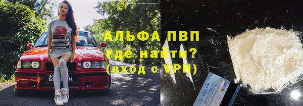 стафф Арсеньев