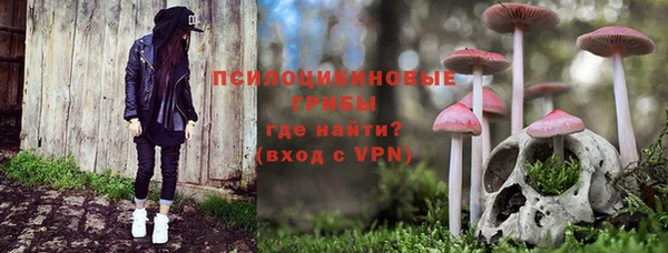 стафф Арсеньев
