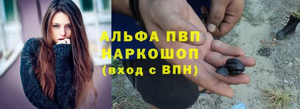 стафф Арсеньев